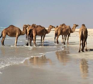 Rund 2 km am Strand entlang