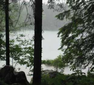 Der Hintersee aus dem Zauberwald