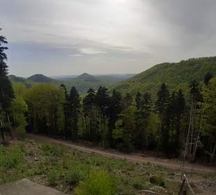 Aussichtsplattform Hermersbergerhof Pfälzerwald