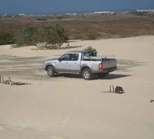 Pickup in der Wüste von Baobab Tours