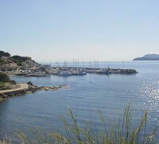 Le port des oursiniéres