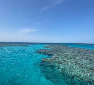 Delfinschwimmen Hurghada mit Joseph&Marlen