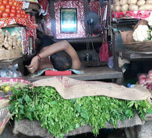 Kurzes Mittagsschlaefchen 