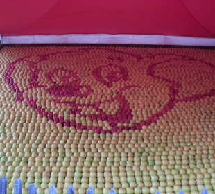 Euromaus aus Äpfeln 