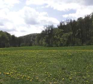 Heuscheuerle - Anhausen