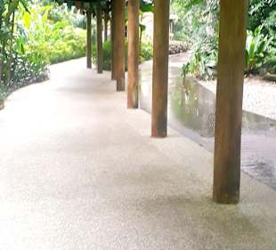 Singapur Zoo