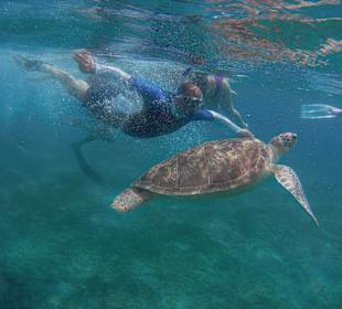 Schnorcheln Abu Dabbab