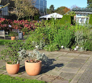Rundgang durch den Botanischen Garten Hamburg