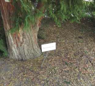 Botanischer Garten