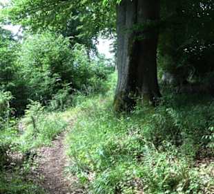 Premiumwanderweg "hochgehackert"