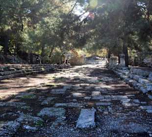 Hauptstrasse (ehemalige Prachtstrasse)