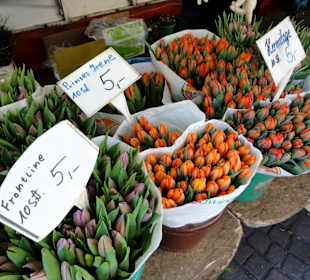 Eindrücke vom Bremer Blumenmarkt