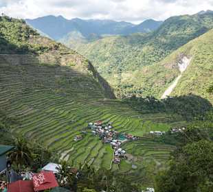 Batad - widok na tarasy ryżowe
