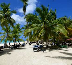 Insla Saona