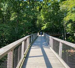 Baumwipfelpfad, Rügen