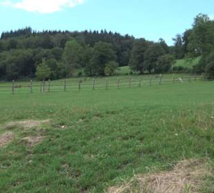 Haupt- und Landgestüt Marbach