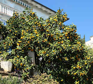 Unterwegs in Opatija