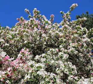Eindrücke aus dem Braunschweiger Bürgerpark