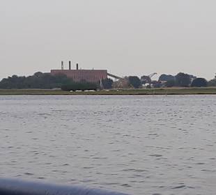 Apollo Tagestour zur Greifswalder Oie 