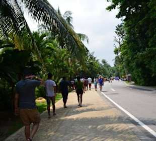 Sentosa Island