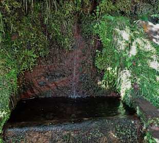 Auf dem Weg zum Wasserfall