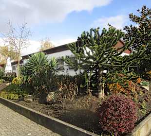 Restaurant Akropolis