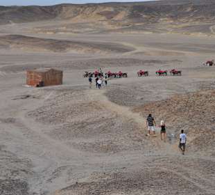 Desert
