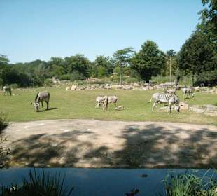 Zoo Leipzig