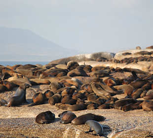 Hout Bay