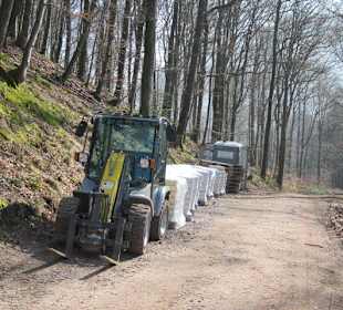Dauerbaustelle Ruine Meistersel