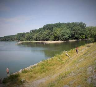 Donau March Mündung