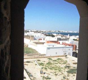 Blick auf das Ausgrabungsfeld