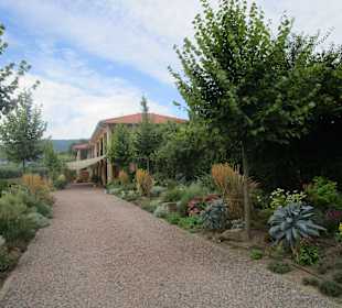  Kräutergarten Klostermühle