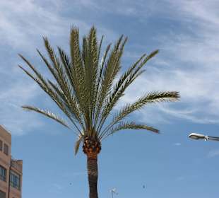 Promenada w Palma de Mallorca