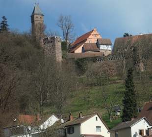 Burg Hirschhorn, Ursprung im 13. Jhd.