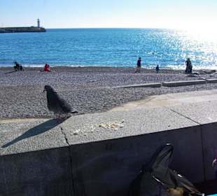 Promenade von Jalta Sehenswürdigkeiten
