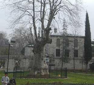 Garten der Blauen Moschee