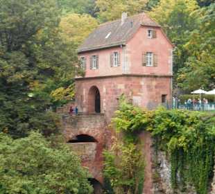 Schloss Heidelberg