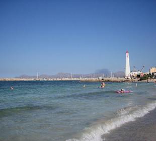 Strand mit Hafen in der Nähe vom JS Hotel Can Picafort