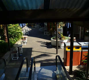 Taronga Zoo