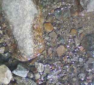 Tatrzański Park Narodowy