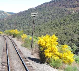 Mit der Taieri Railway durch die Natur Neuselands