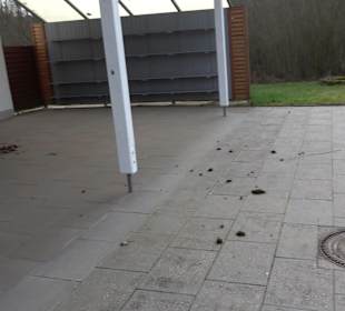 Tennisplatz Neckarhausen