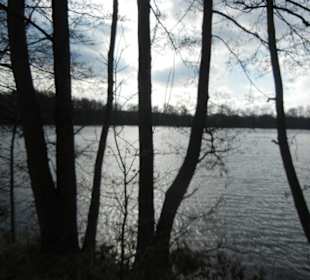 Naturschutzgebiet Boberger Niederung