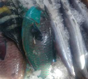 Alter Fischmarkt in Hurghada