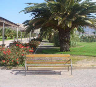 Parque del Sur