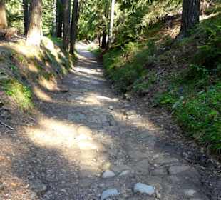 Abwechslungsreicher Weg