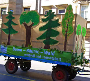 Baumschulen