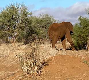 Taita Hills Reservat