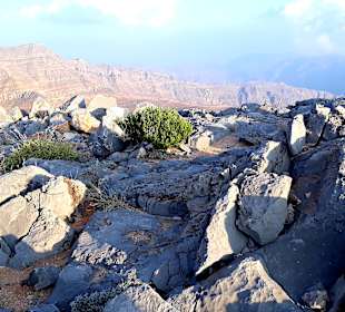 Ausflug Jebel Harim